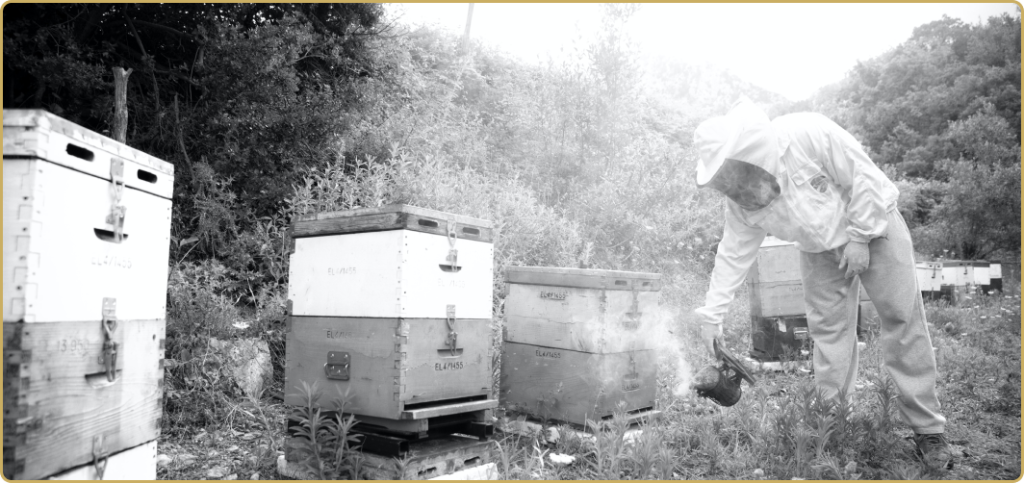 Behandling av bikupor för sjukdomar