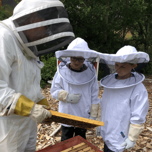 Unga biodlare tittar på en bikupa